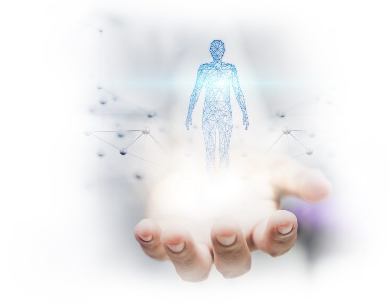 body analysis dubai